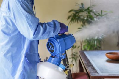 Commercial Fumigation in Davis County, UT