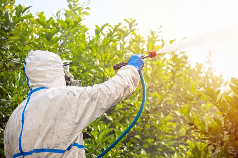 Pest Fumigation Service in Lafayette, LA