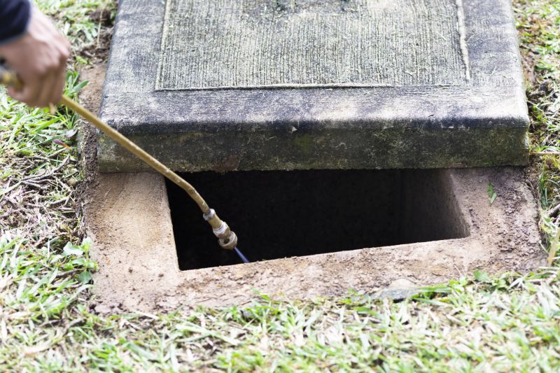 Pest Fumigation Service in Bellingham, WA