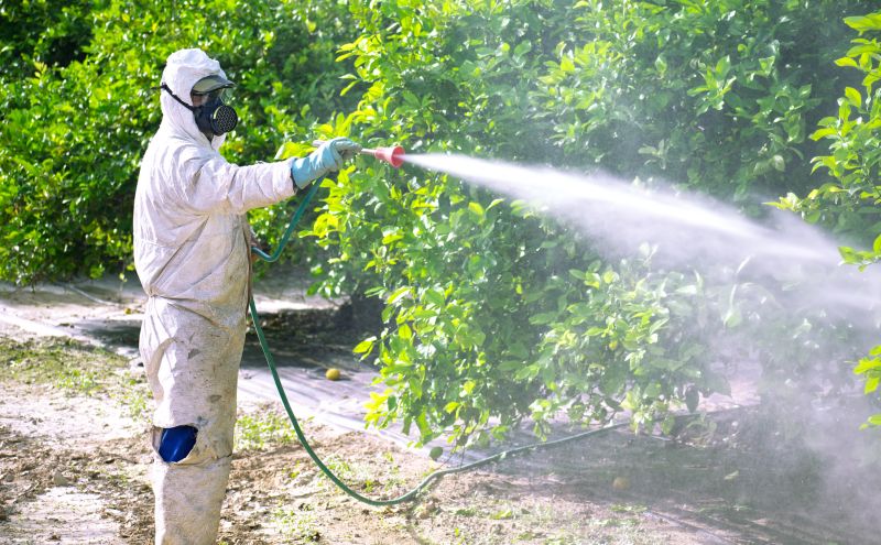Residential Fumigation in Naperville, IL