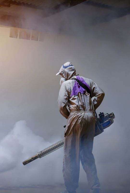 Roach Fumigation in Naperville, IL