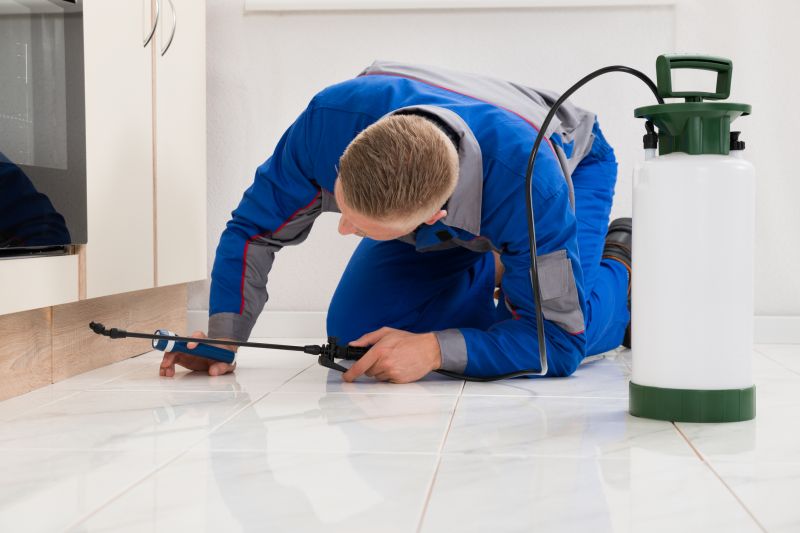 Beetle Removal in Arlington, TX