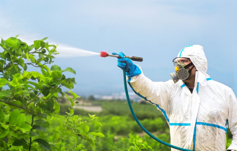 Commercial Fumigation in Naperville, IL