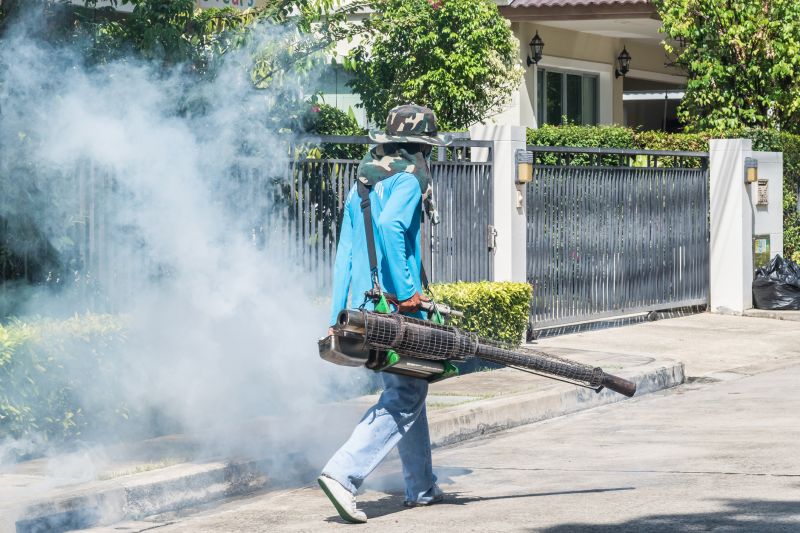 Roach Fumigation in Madison, WI