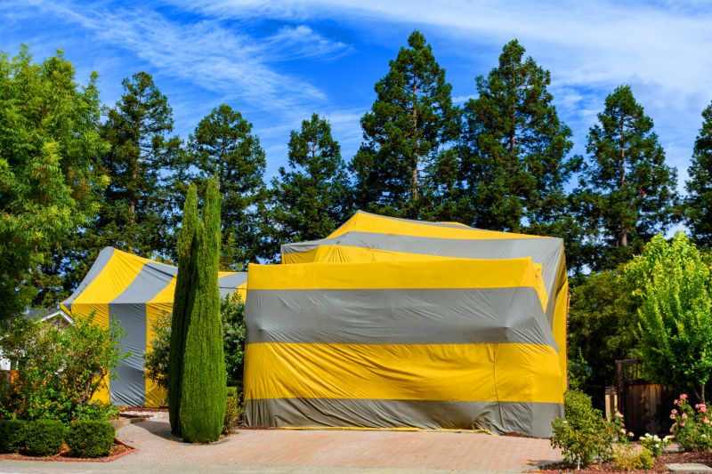Tent Fumigation in Ann Arbor, MI