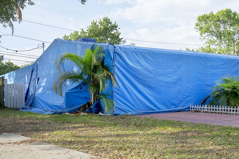 Termite Tenting in Fort Collins, CO